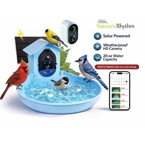 NEW Nature’s Rhythm Smart Bird Bath Feeder Video Camera Record Identify Birds